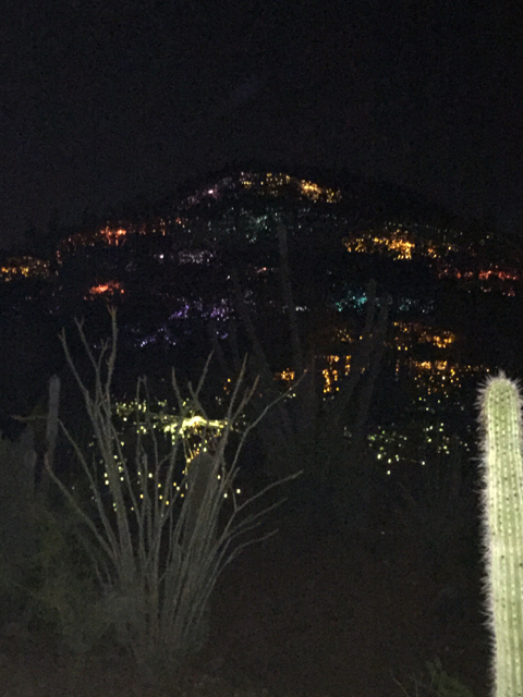 Bruce Munro: Sonoran Light