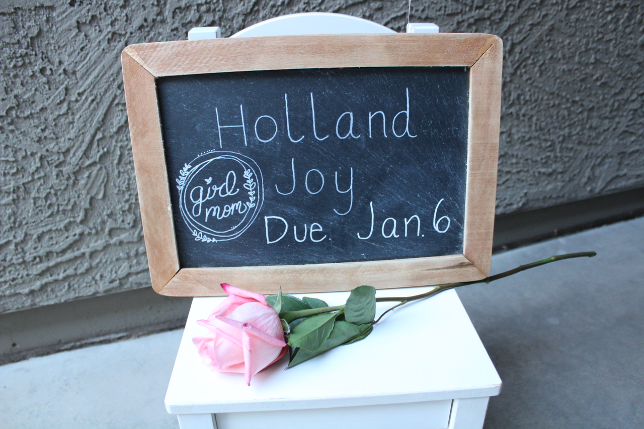 Holland Joy